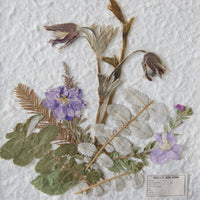 Thumbnail for Gilded Pressed Botanical Stand - Larkspur and Strawberry Leaf
