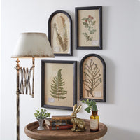 Thumbnail for Pressed Botanical Wall Decor - Lady Fern