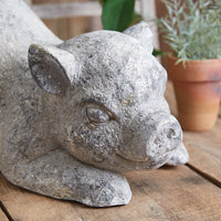 Thumbnail for indoor-outdoor-garden-pig-statue.jpg