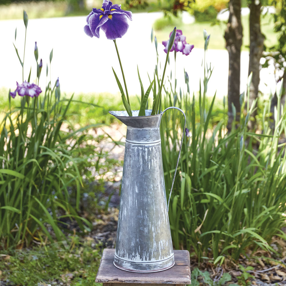 long stem flower pitcher