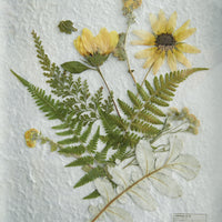 Thumbnail for natural-dried-flowers