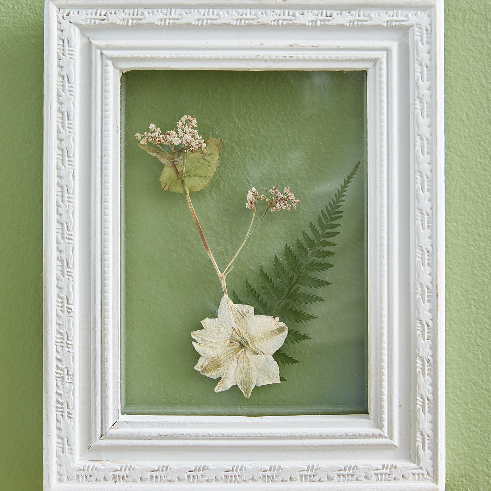 pressed-dried-flower-wall-art