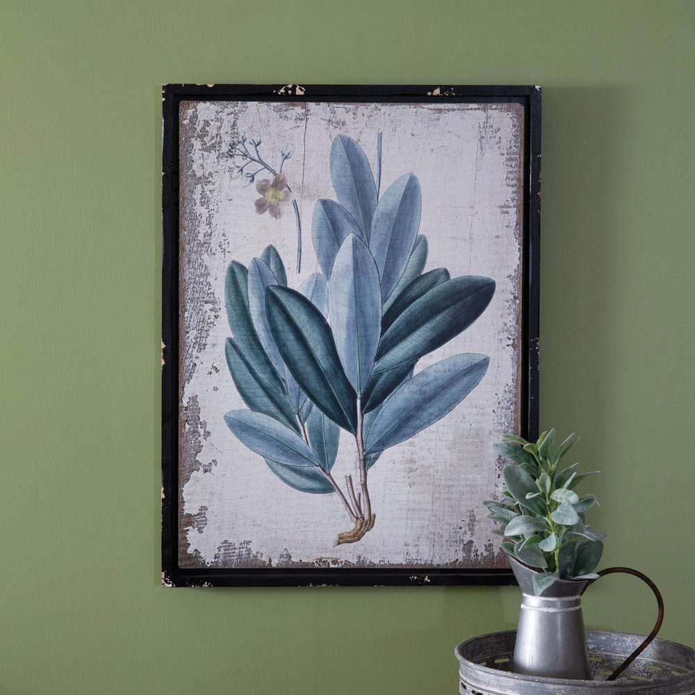 Framed Botanical Rubber Plant Wall Print - Decorative Plaques